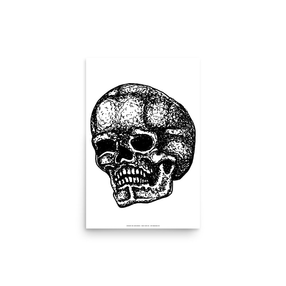 Skull Three Quarter Turn Print