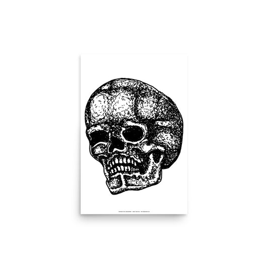 Skull Three Quarter Turn Print