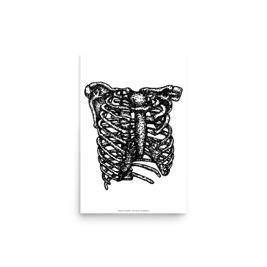 Ribcage Print