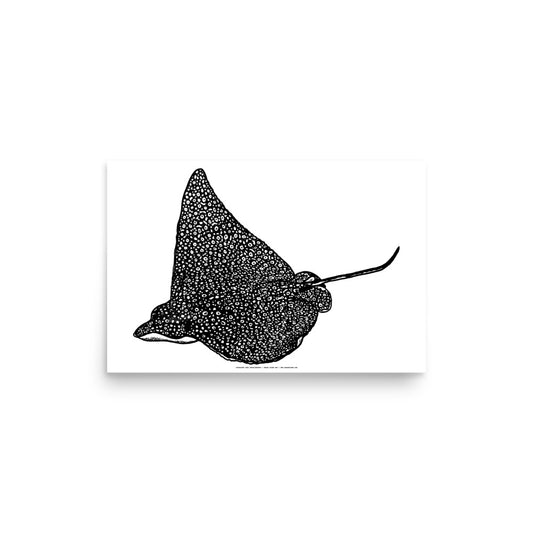 Eagle Ray Print